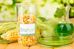 Fordon biofuel availability