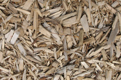 biomass boilers Fordon